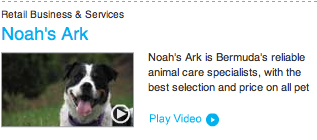 Noah's Ark